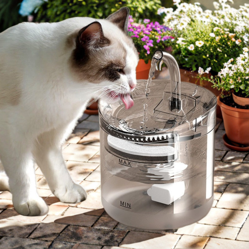 Smart Leak-Proof Pet Water Dispenser & Auto Feeder for Cats and Dogs