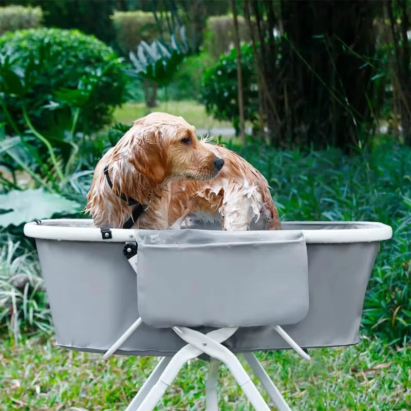 Elevated Dog Bath Tubs for Bath Shower Grooming