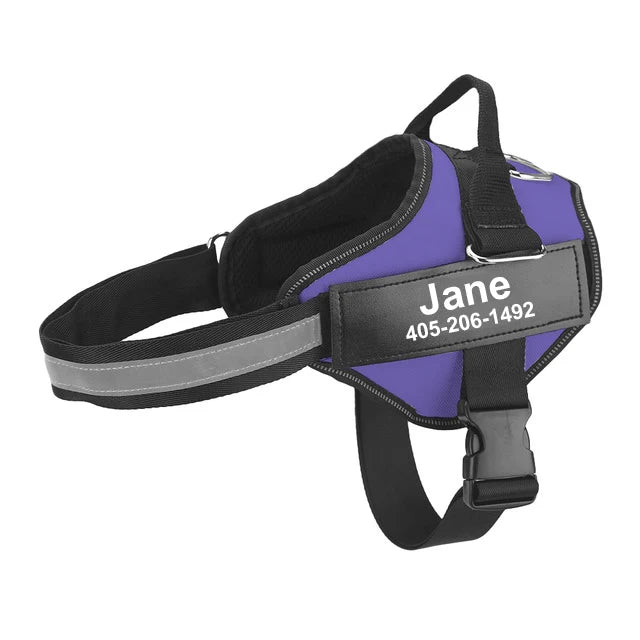 Personalized Dog Harness