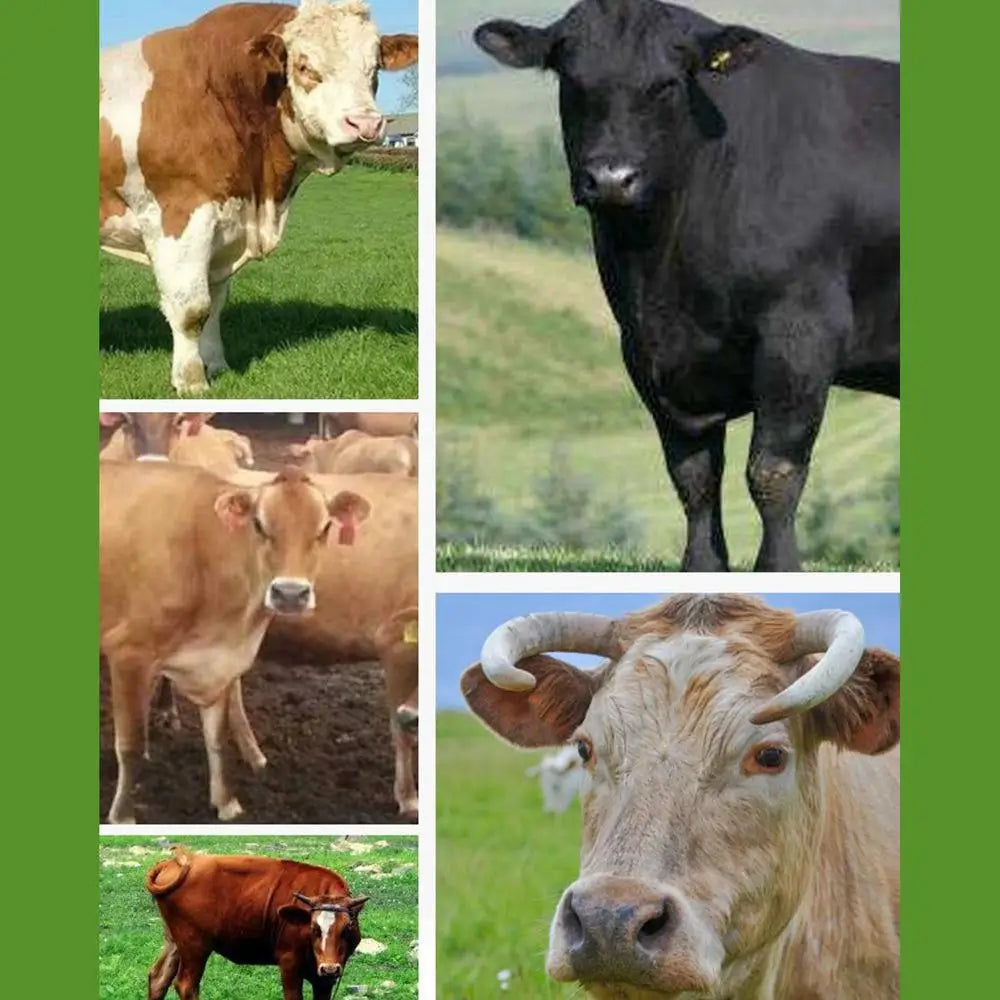 Calf Weaner Nose Rings