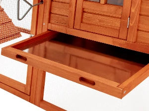 Large Chicken Coop