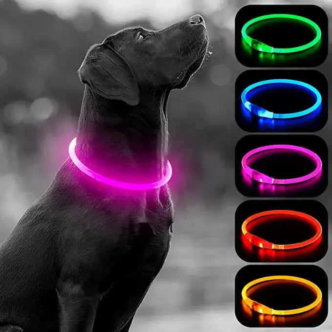USB Charging Necklace Led Luminous Dog Collar Light