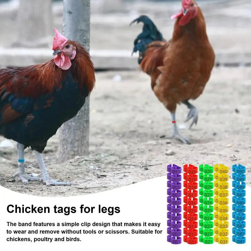 01~50 Chicken Foot Ring