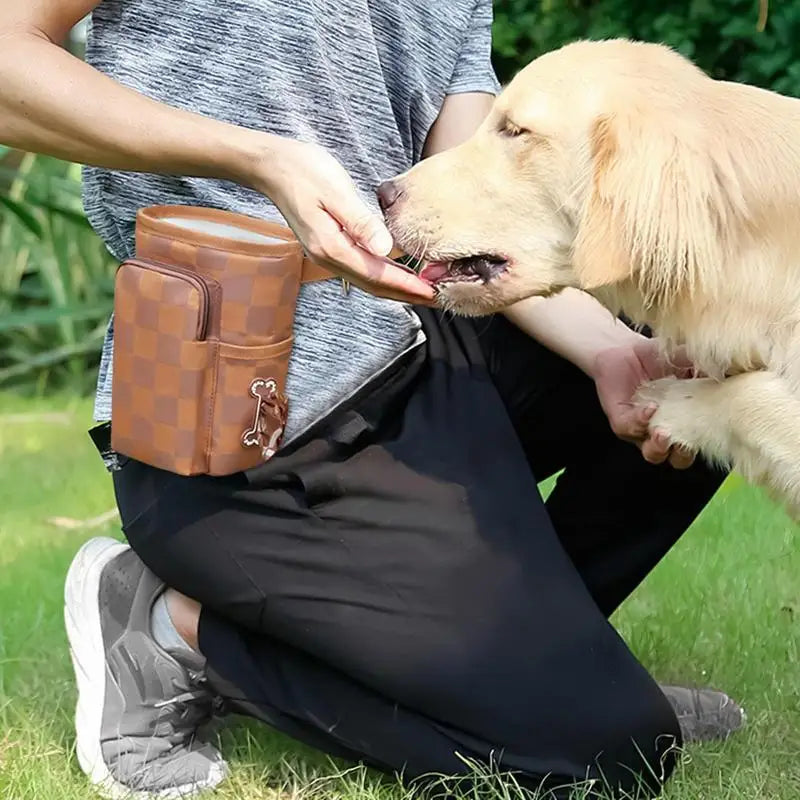 Magnetic buckle dog treat training pouch