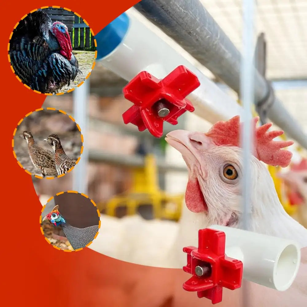 Chicken Water Cups For Poultry