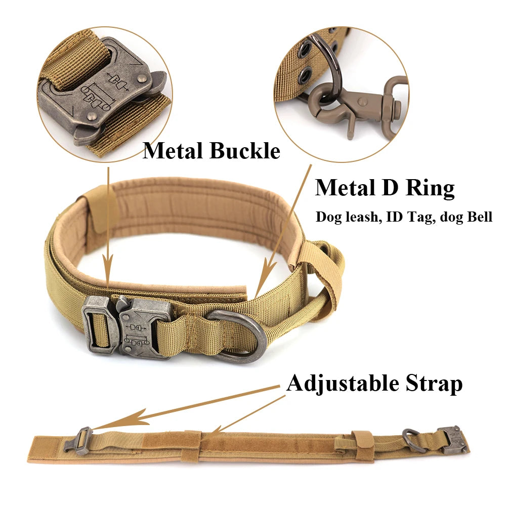 Large Dog Harness and Leash Set