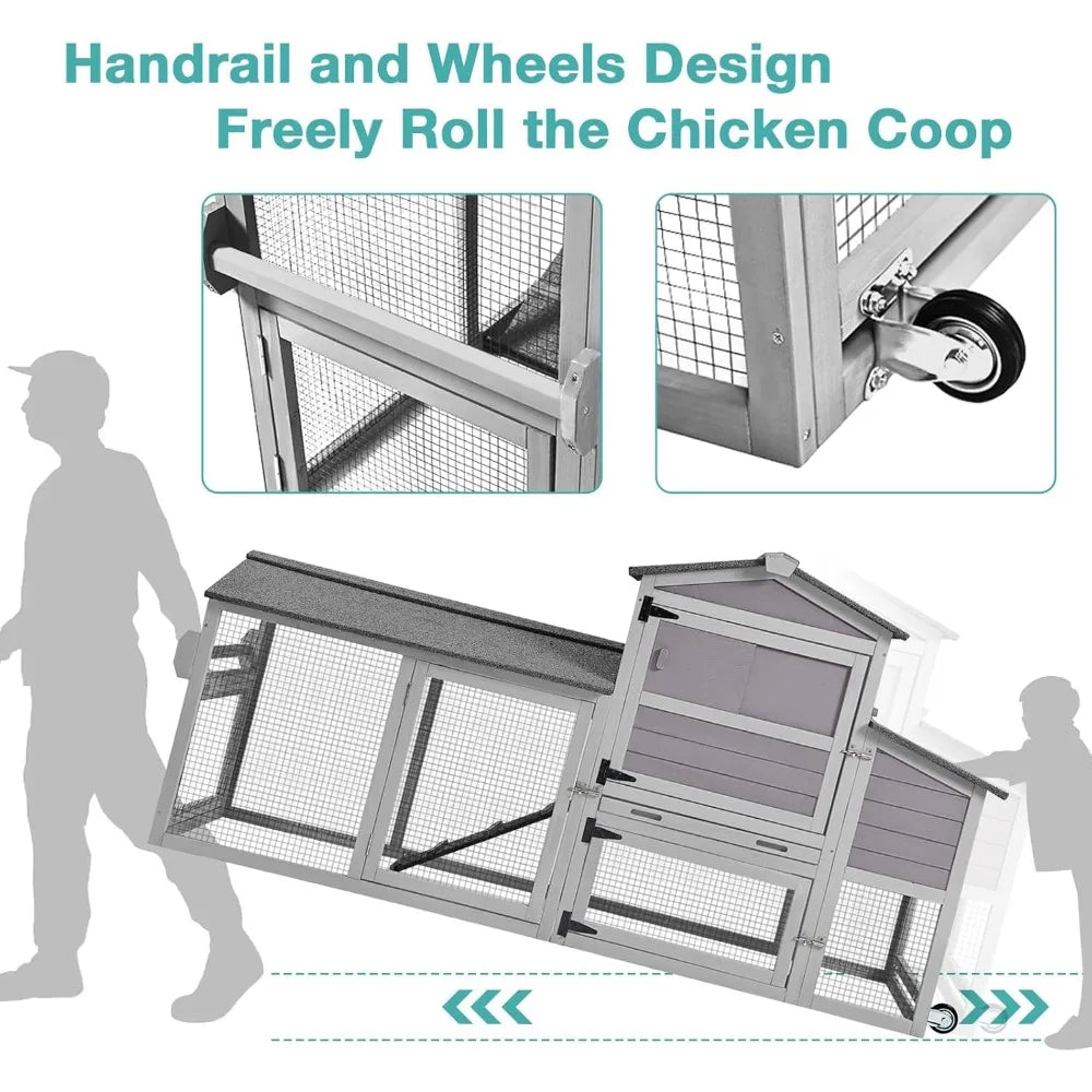 Chicken Coop