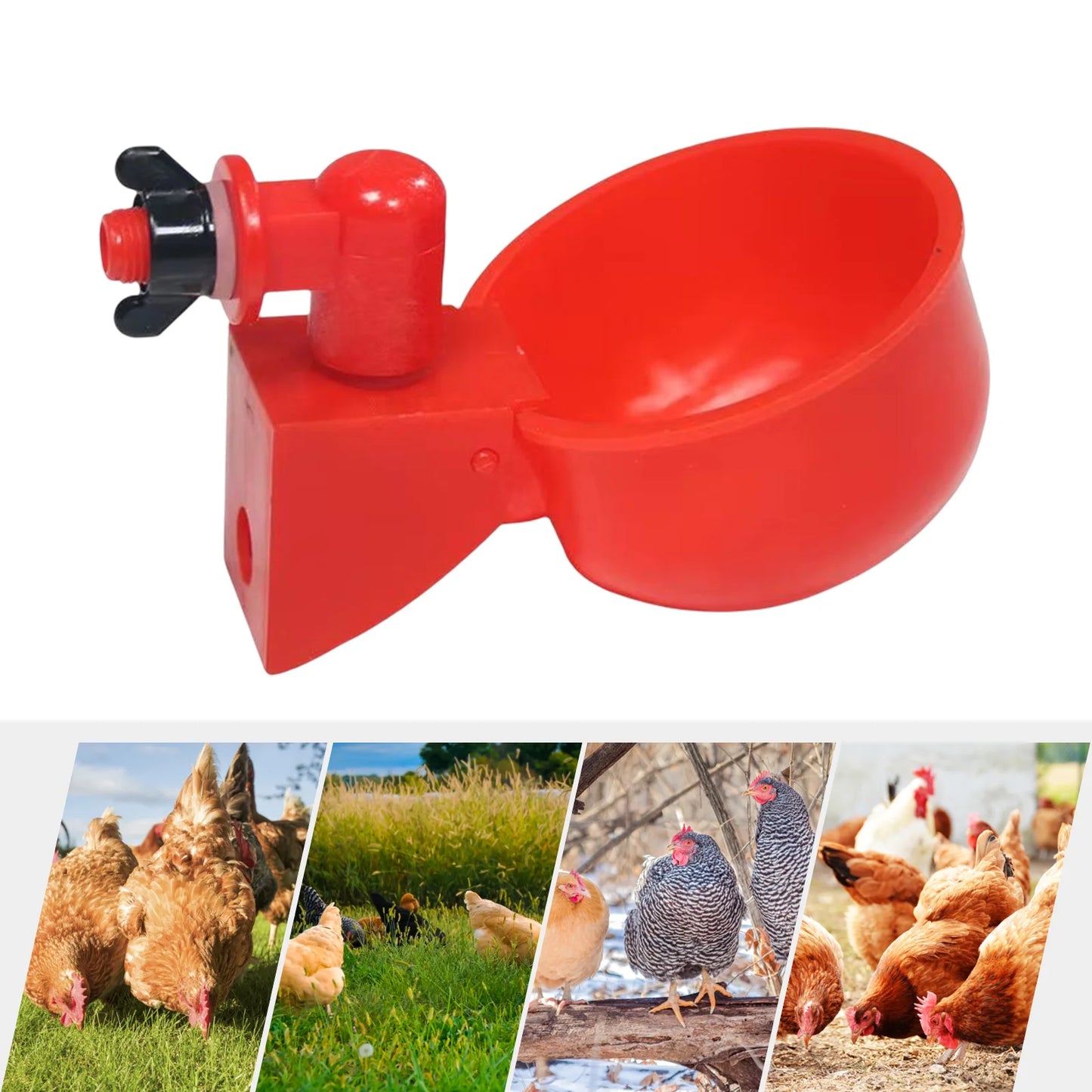6pcs Poultry Feeder Drinker