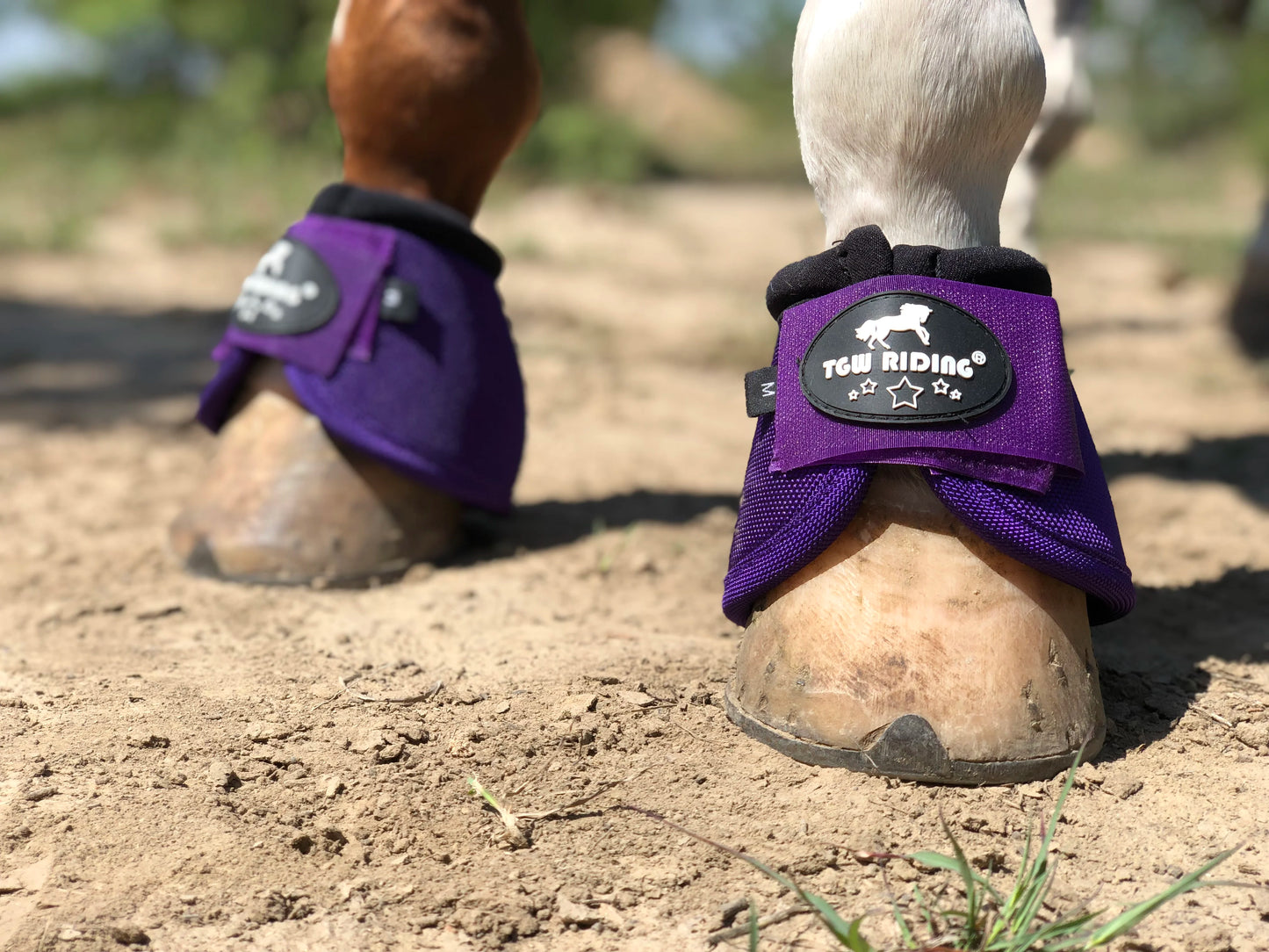TGW RIDING 2520D Horse Bell Boots