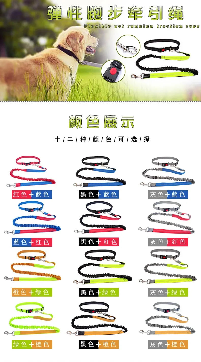 Hand Free Dog Leash for Pet Walking Running Jogging
