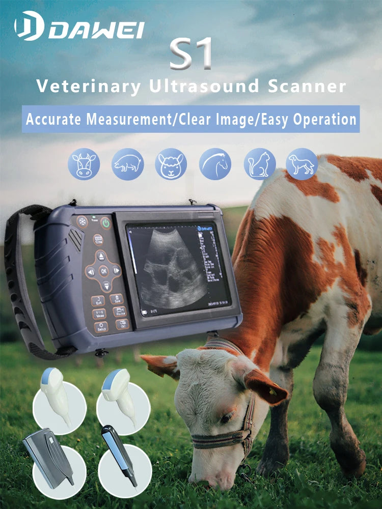 Portable Veterinary Ultrasound Scanner