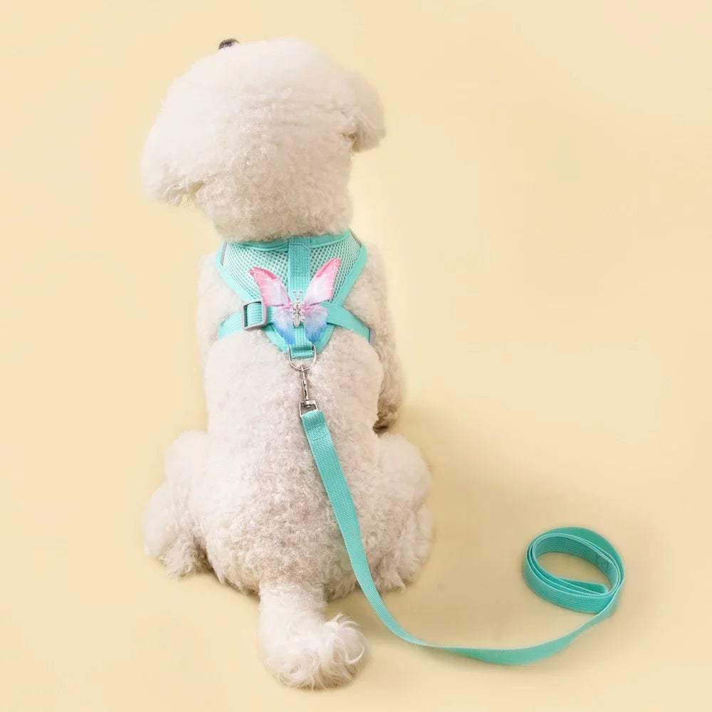 Butterfly Cute Breathable Dog Harness Set