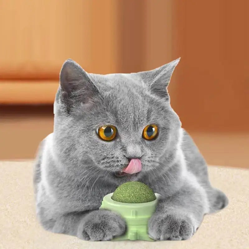 Silvervine Catnip Wall Balls