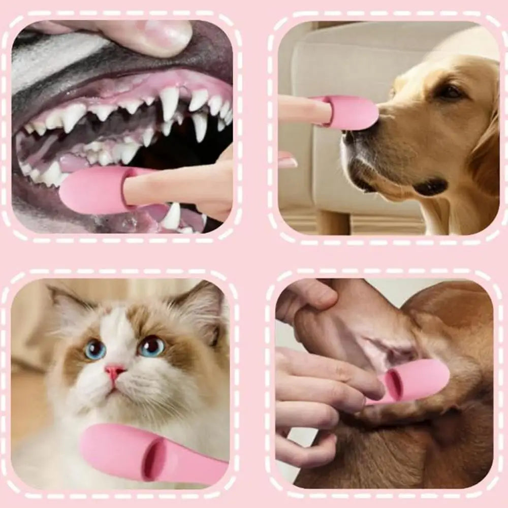 Cat Chin Brush