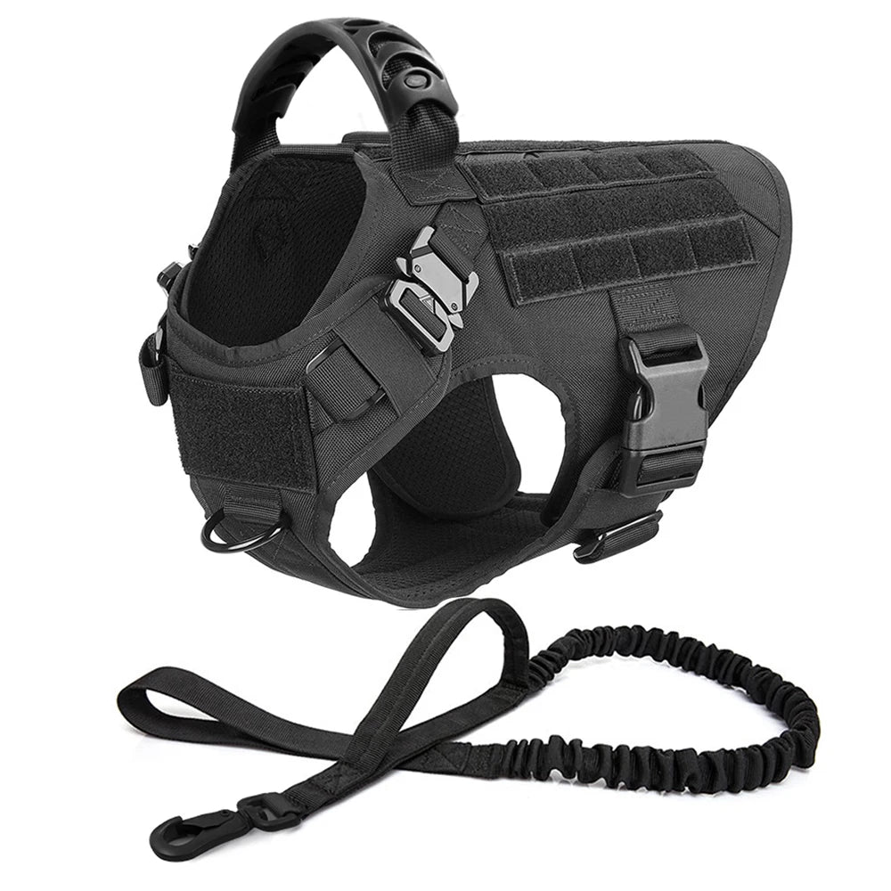 Large Dog Harness and Leash Set