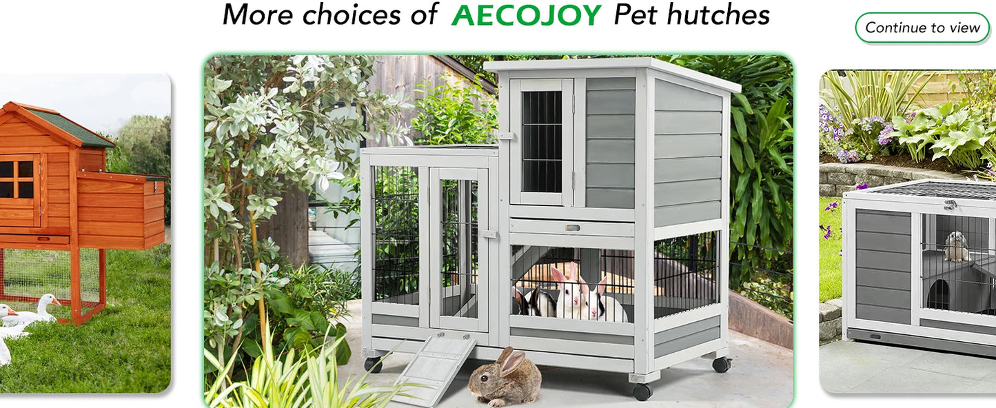 Large Chicken Coop