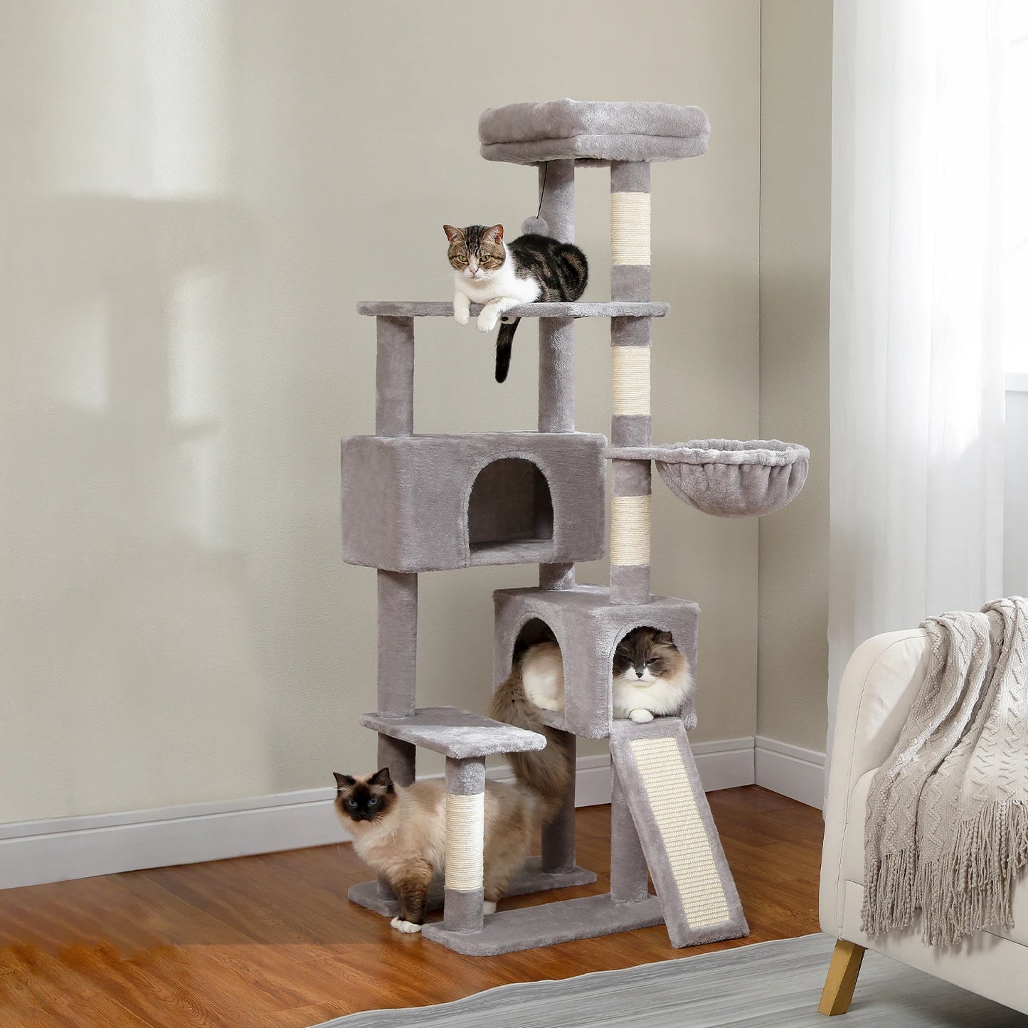 Multi-Level Cat Tree for Large Cats