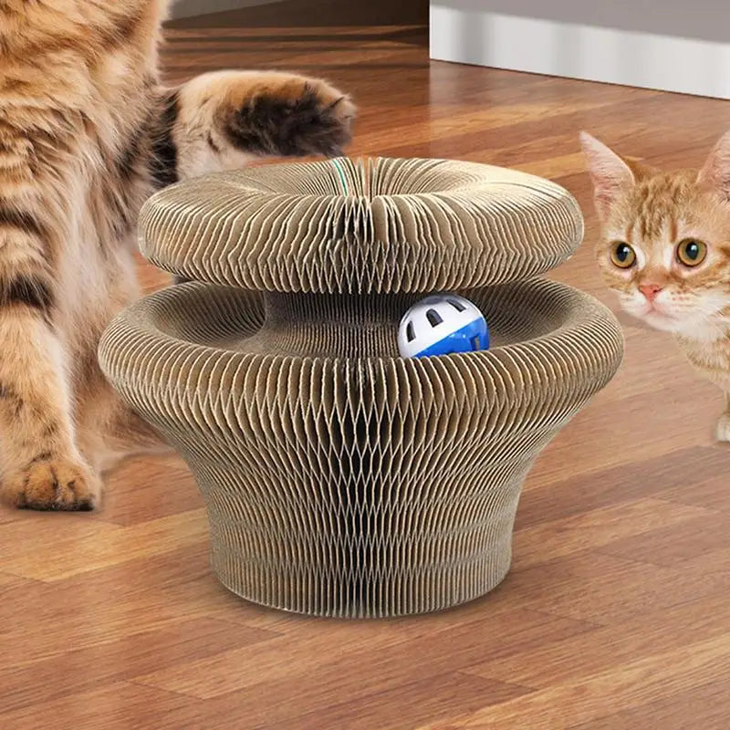 Kitty Curls Cat Toy Unique Active Cat Toy