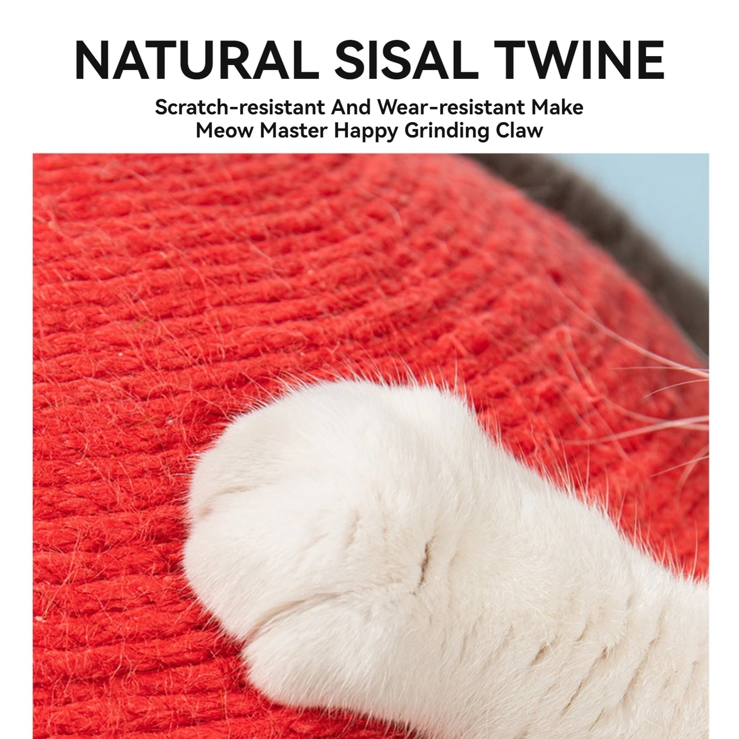 Red Cap Mushroom Kittens Scratching Post