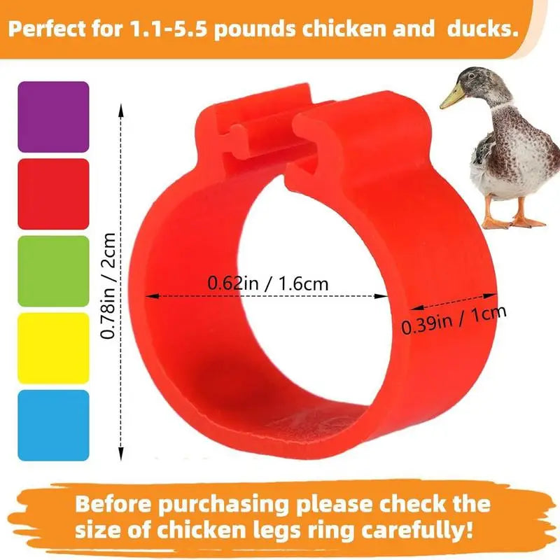 01~50 Chicken Foot Ring