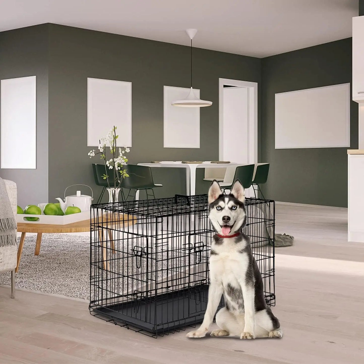 Dog Crate for Large Dogs