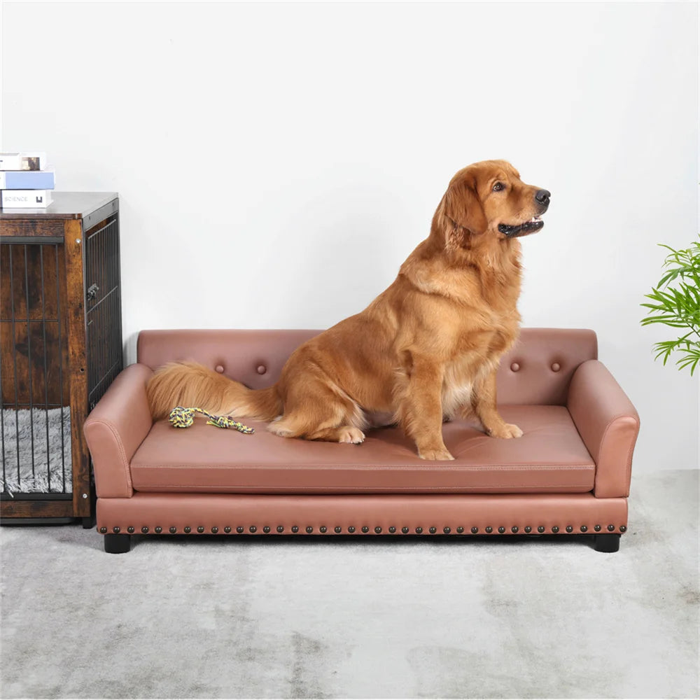 Large Elevated Dog Bed