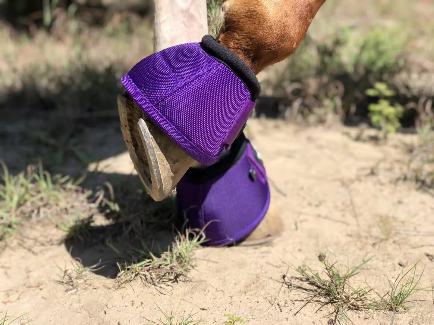 TGW RIDING 2520D Horse Bell Boots