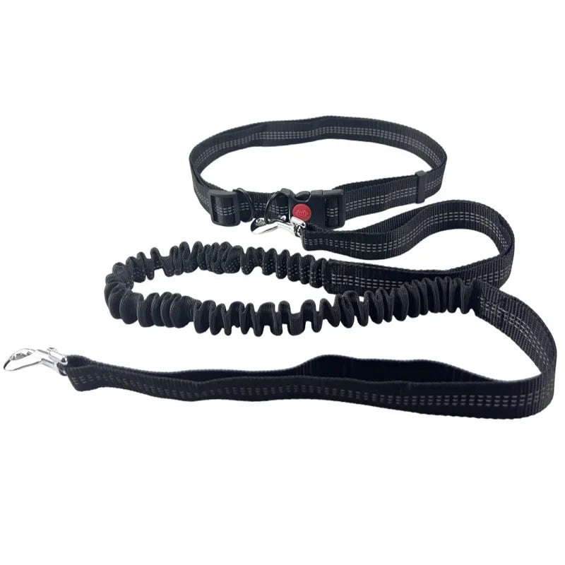 Hand Free Dog Leash for Pet Walking Running Jogging