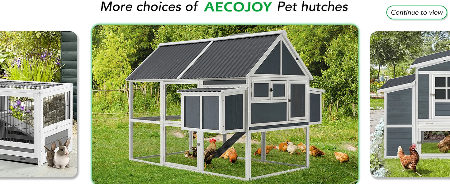 Large Chicken Coop