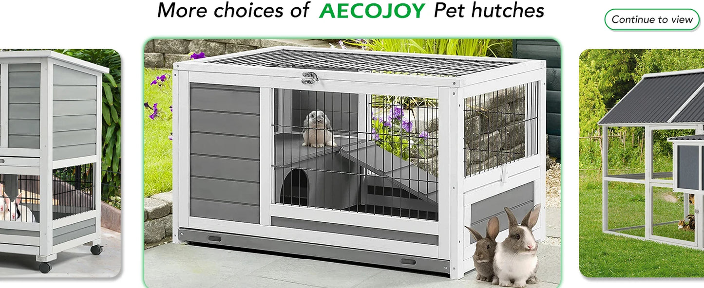 Large Chicken Coop