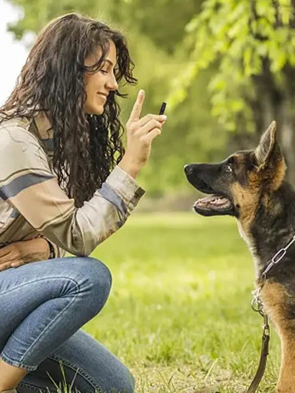 Ultrasonic Dog Whistle