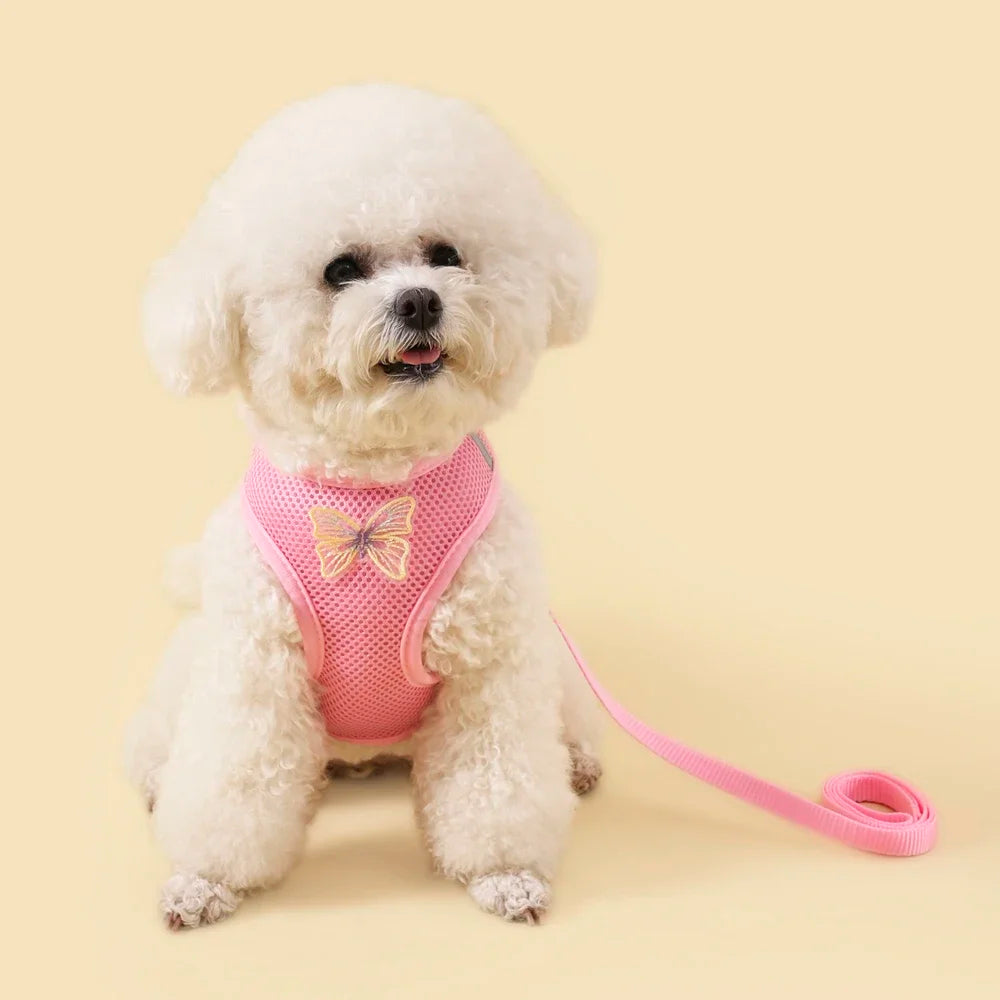 Butterfly Cute Breathable Dog Harness Set