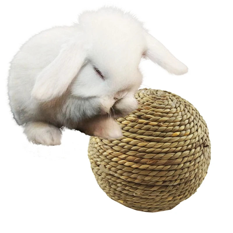 4PCS Pet Chew Toy