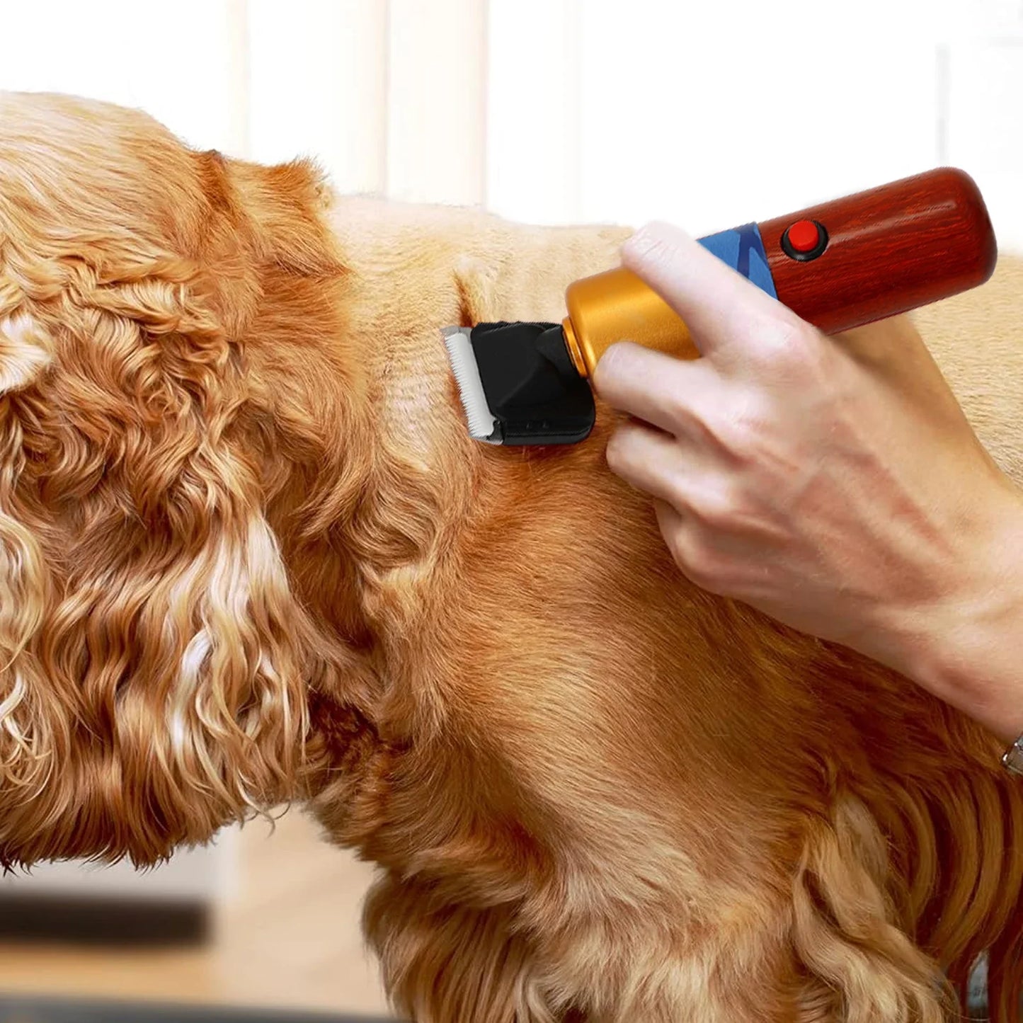 Electric Hair Trimmer