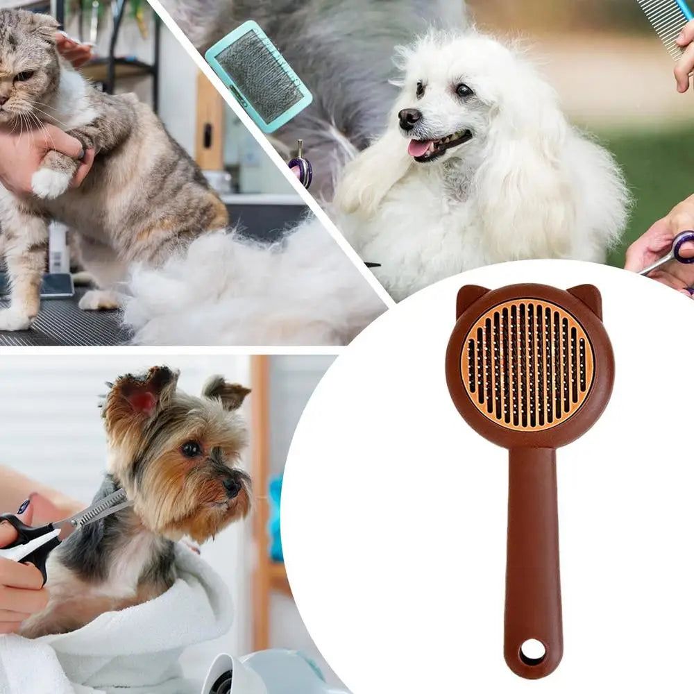 Cat Brush For Shedding