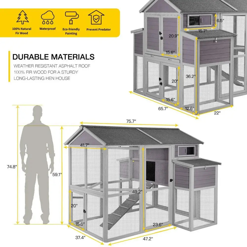 Chicken Coop