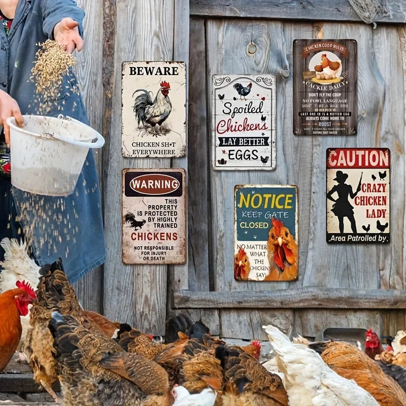 6pcs Funny Chicken Decor