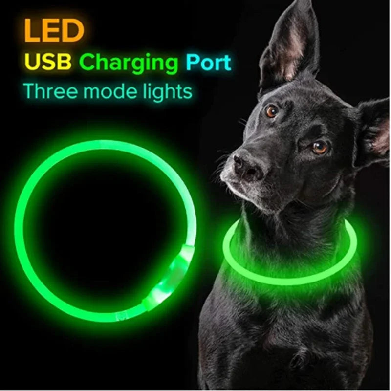 USB Charging Necklace Led Luminous Dog Collar Light