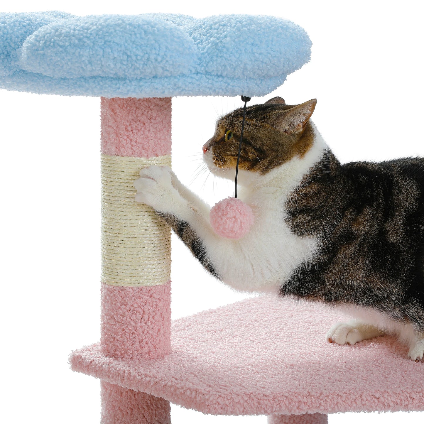 Multi-Level Flower Cat Tree Tower