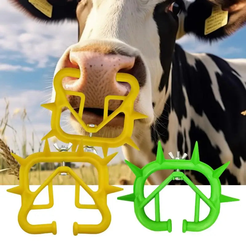 Cow Nose Ring