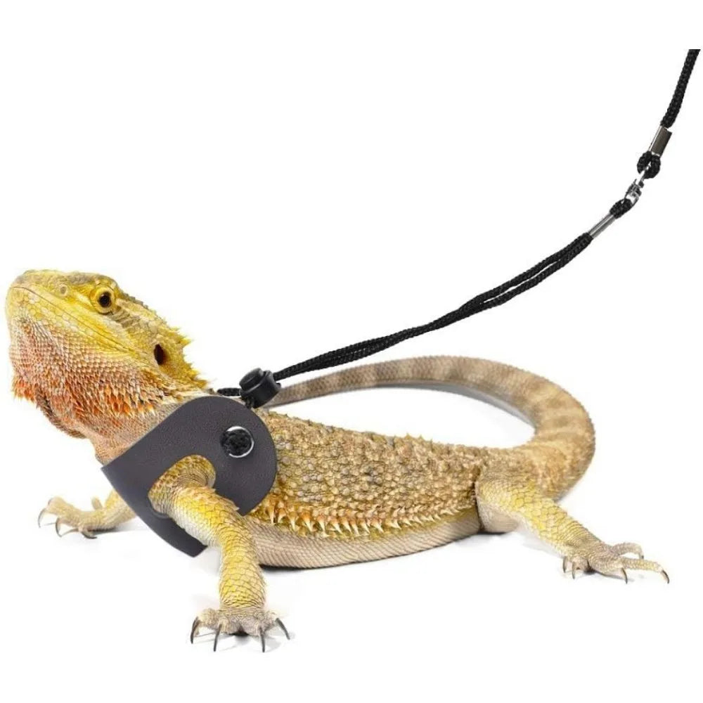 Bearded Dragon Harness and Leash Adjustable (S,M,L, 3 Pack)