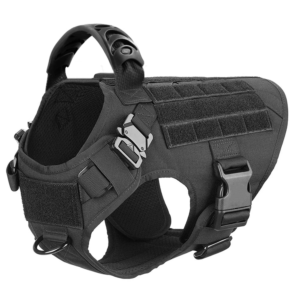 Large Dog Harness and Leash Set