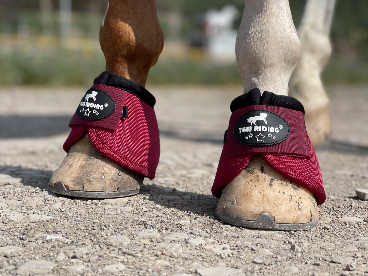 TGW RIDING 2520D Horse Bell Boots