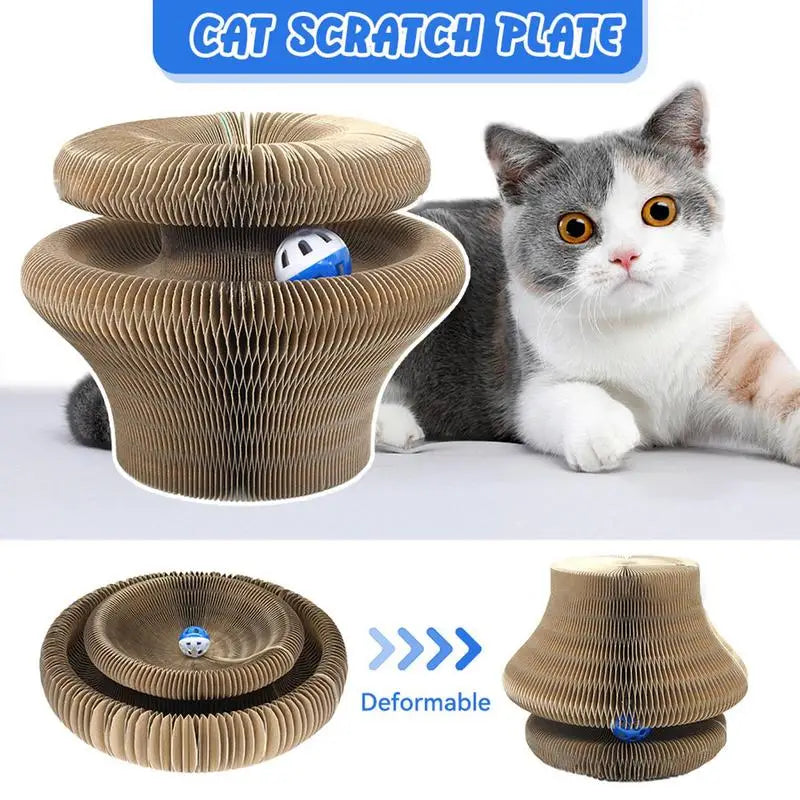 Kitty Curls Cat Toy Unique Active Cat Toy