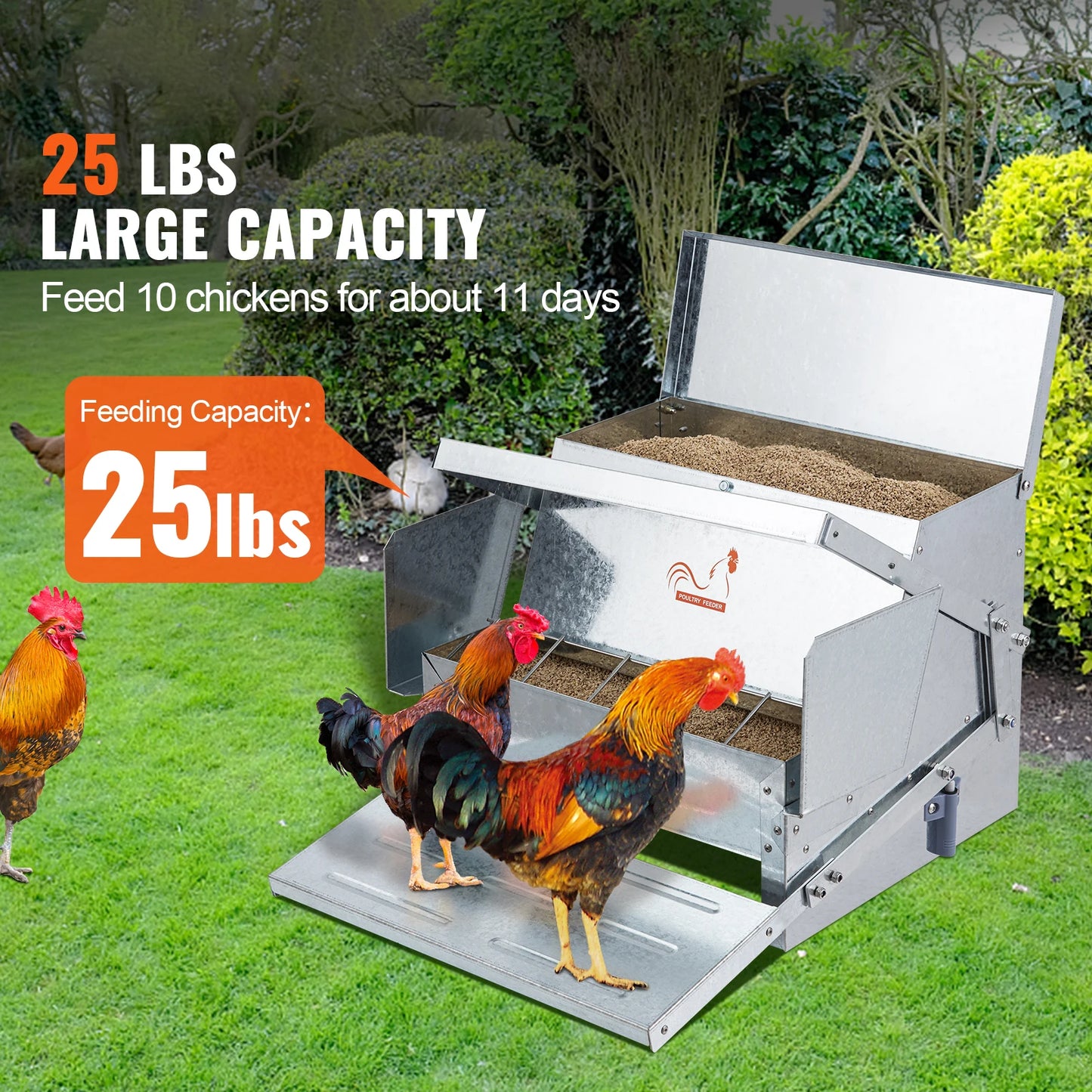 SucceBuy Automatic Chicken Feeder