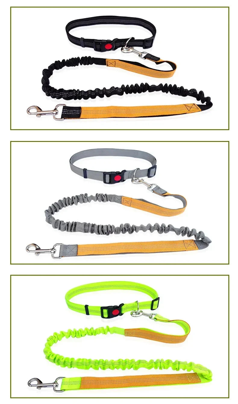 Hand Free Dog Leash for Pet Walking