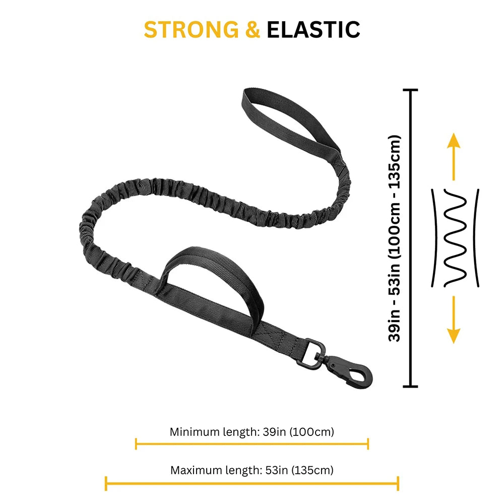 Large Dog Harness and Leash Set
