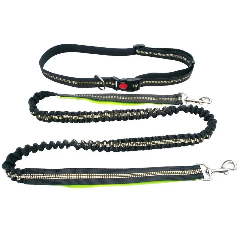 Hand Free Dog Leash for Pet Walking Running Jogging