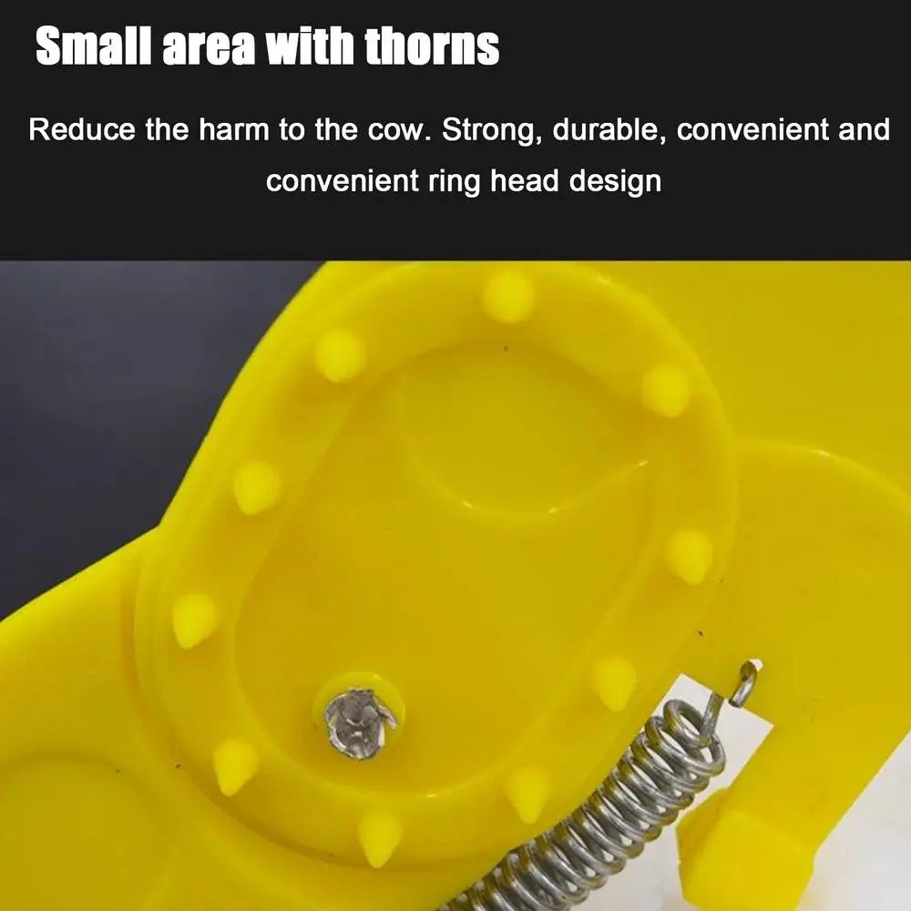 Calf Nose Ring
