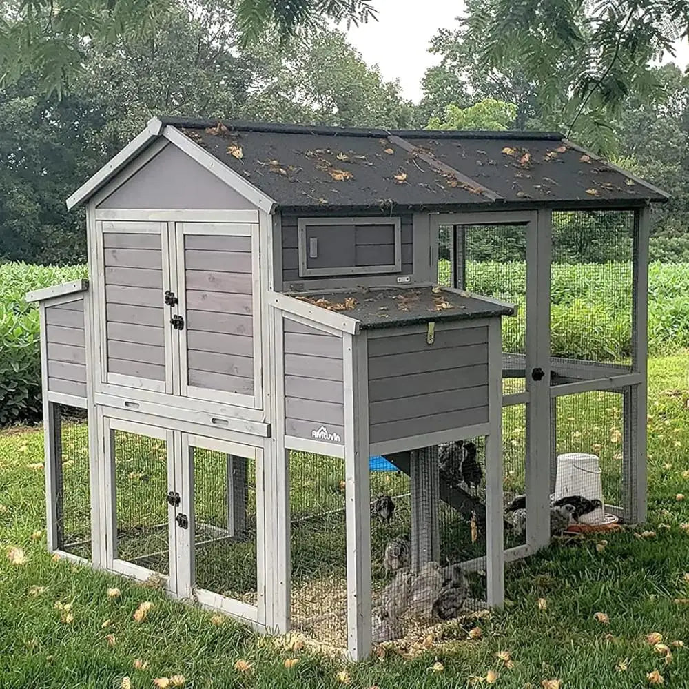Chicken Coop